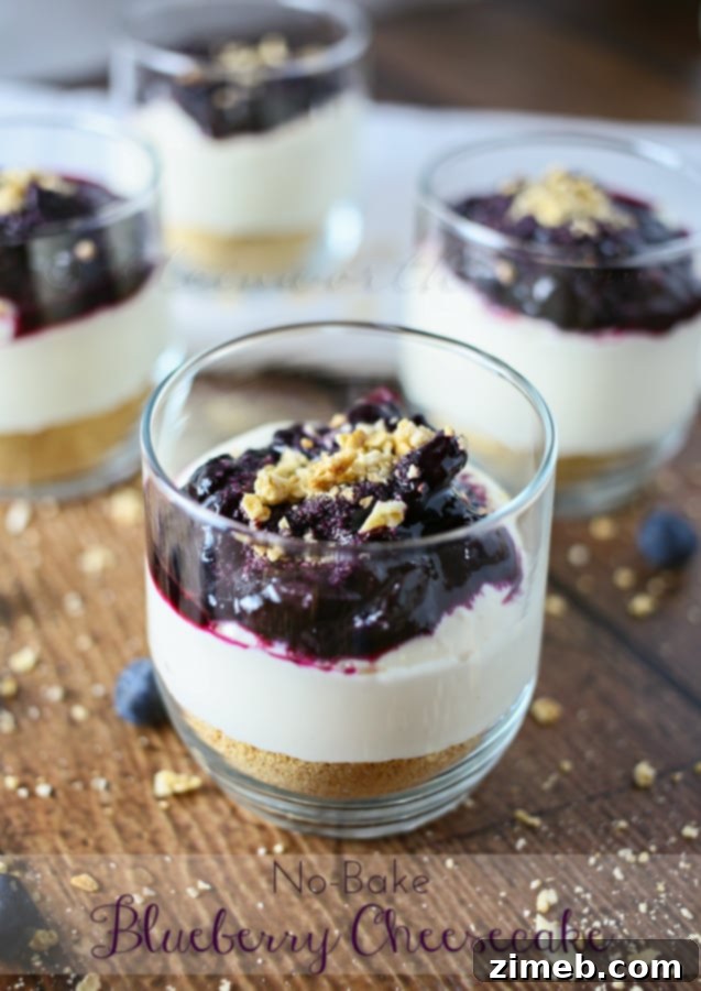 Layered No-Bake Blueberry Cheesecake in a glass cup, showing distinct crust, cream, and topping
