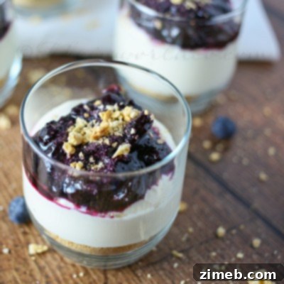 No-Bake Blueberry Cheesecake in a glass cup