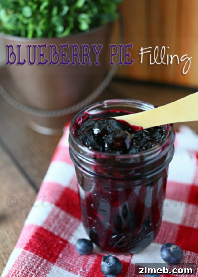 Homemade Blueberry Pie Filling, rich and vibrant