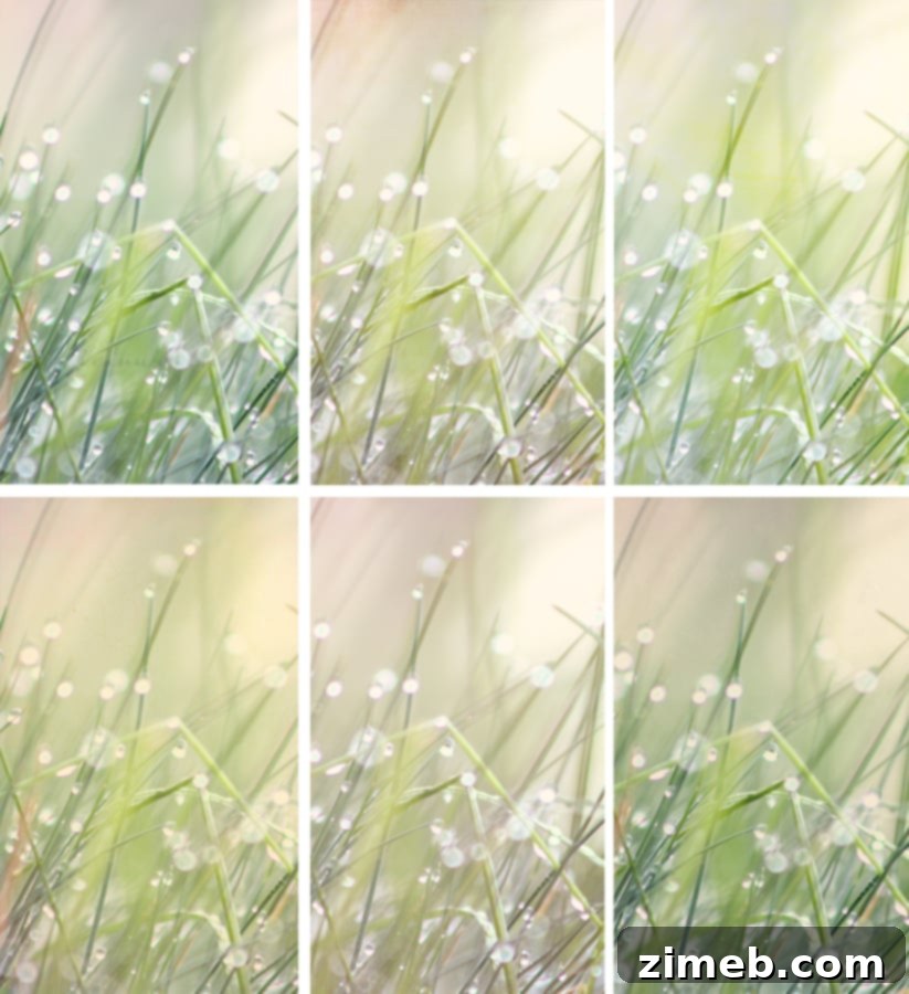 Midnight Texture Collection Echoes of Life and Thought 16 Illusions Photoshop Textures - Digital Art & Photo Effects