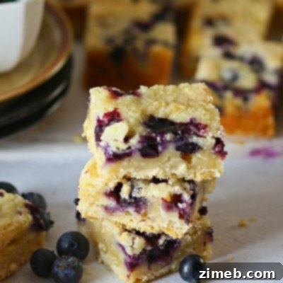 Blueberry Patch Dessert Slices 12 Blueberry Cobbler Bars