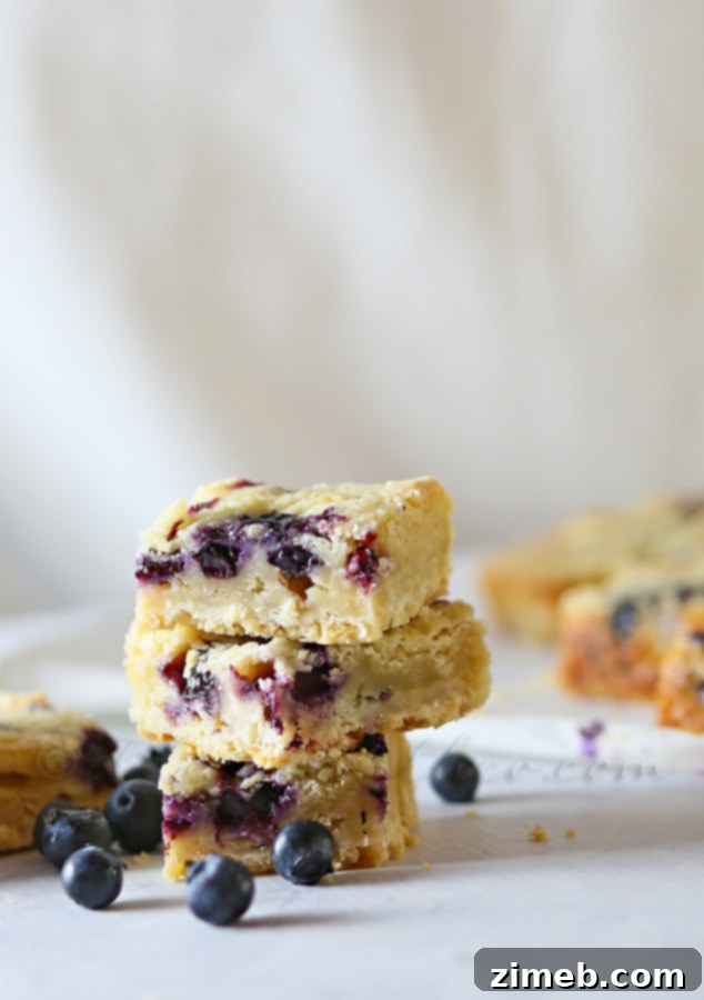 Blueberry Patch Dessert Slices 3 Close-up of baked Blueberry Cobbler Bars, showing the golden topping and juicy blueberry filling.