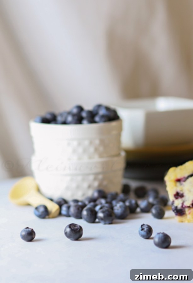 Blueberry Patch Dessert Slices 4 Blueberry Cobbler Bars arranged on a plate, ready to serve.