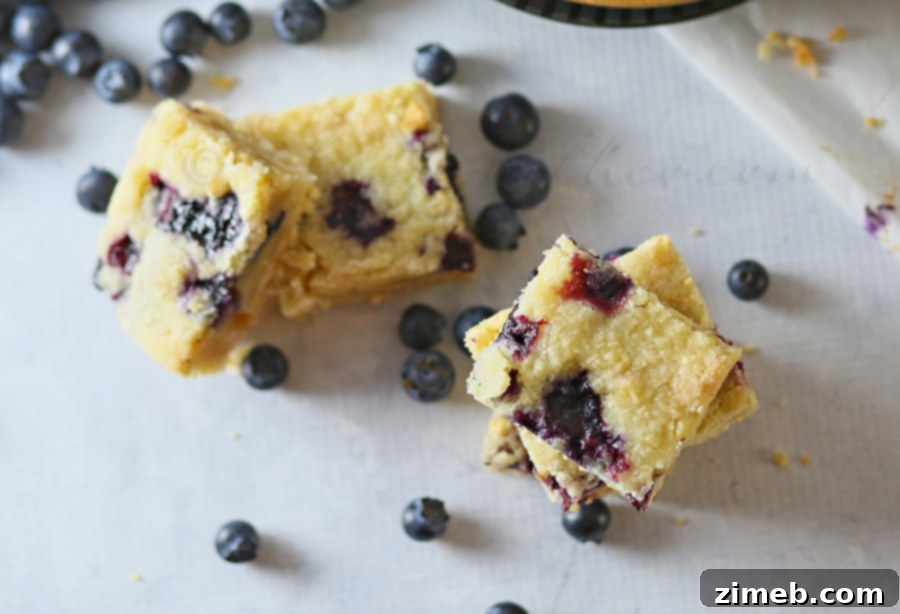 Blueberry Patch Dessert Slices 5 Overhead shot of freshly baked Blueberry Cobbler Bars in a baking pan.
