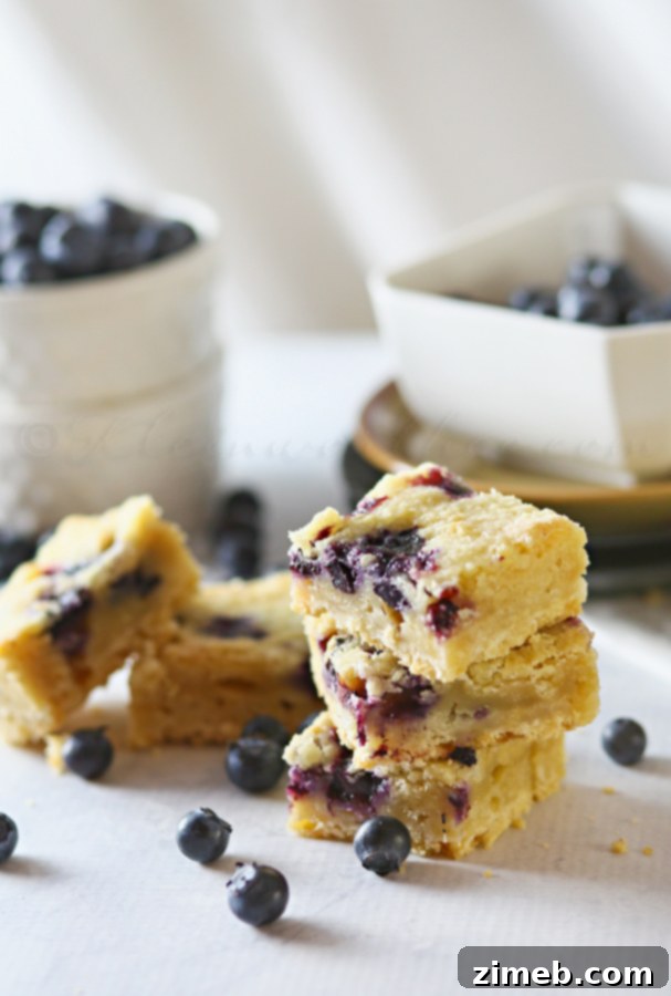 Blueberry Patch Dessert Slices 6 Stack of two Blueberry Cobbler Bars with a bite taken out, showing the layers.