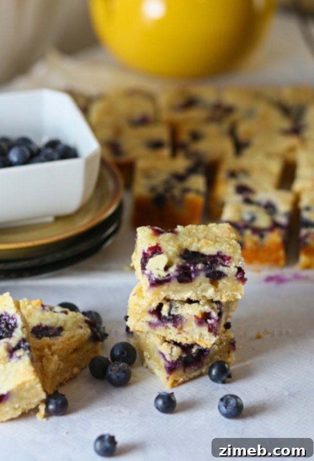 Blueberry Patch Dessert Slices 7 A single Blueberry Cobbler Bar, showing its delicious crumb topping.