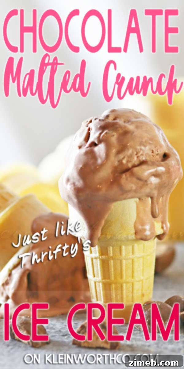 Decadent Chocolate Malted Crunch 2 Homemade Chocolate Malted Crunch Ice Cream with sprinkles
