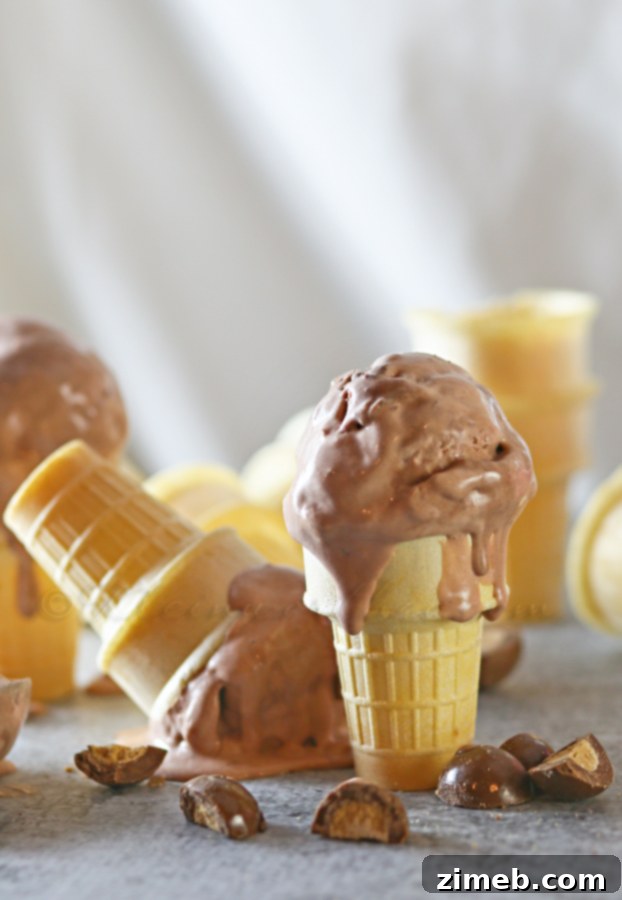 Decadent Chocolate Malted Crunch 3 Chocolate Malted Crunch Ice Cream - Thrifty Copycat Recipe