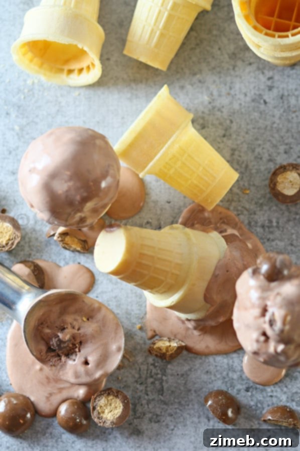 Decadent Chocolate Malted Crunch 5 Chocolate Malted Crunch Ice Cream scoop