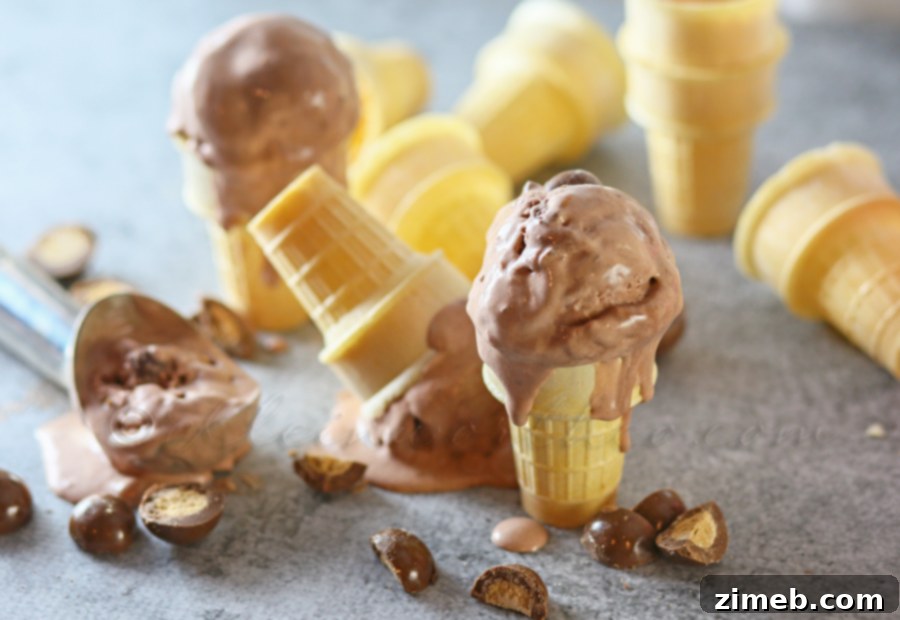 Decadent Chocolate Malted Crunch 6 Chocolate Malted Crunch Ice Cream frozen dessert in a bowl