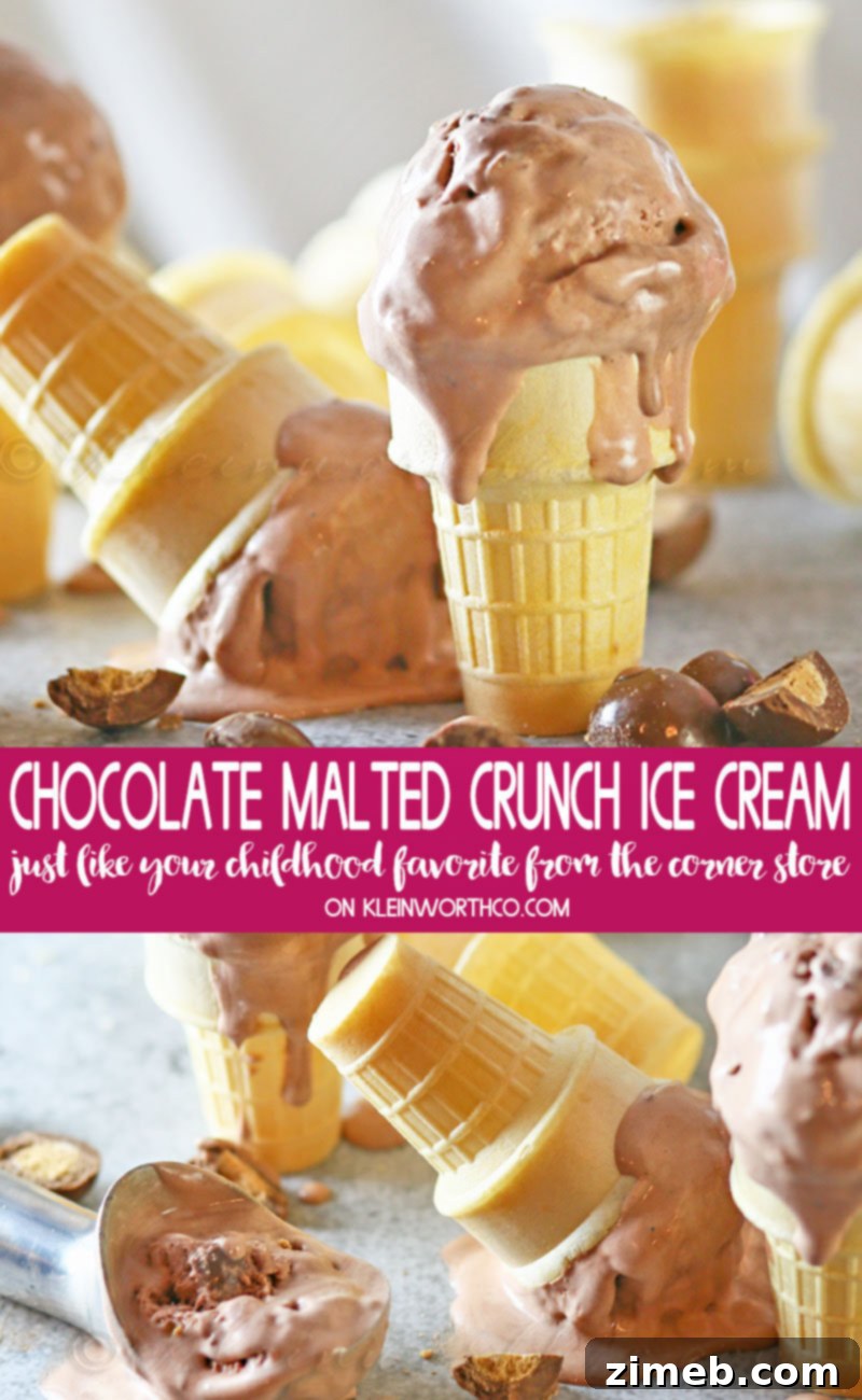 Decadent Chocolate Malted Crunch 7 Chocolate Malted Crunch Ice Cream in a cone