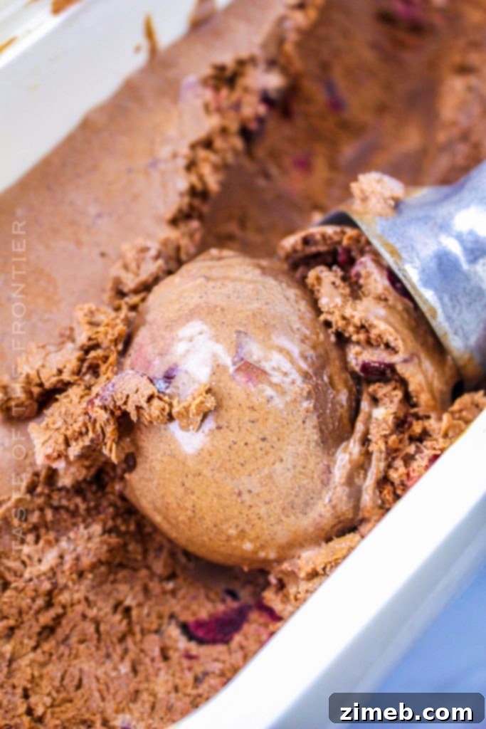 Decadent Chocolate Malted Crunch 8 Homemade Black Forest Ice Cream with sweet cherries and hot fudge