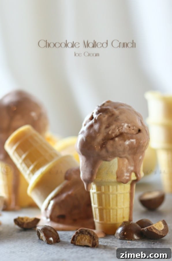 Crimson Coco Freeze 7 Classic Chocolate Malted Crunch Ice Cream, Thrifty style