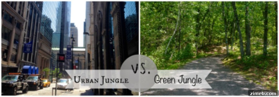 Smartphone Photography Tips: Capturing Urban and Green Jungles