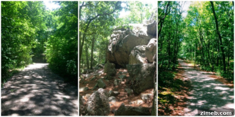 Smartphone Nature Photography: Tips for Green Landscapes