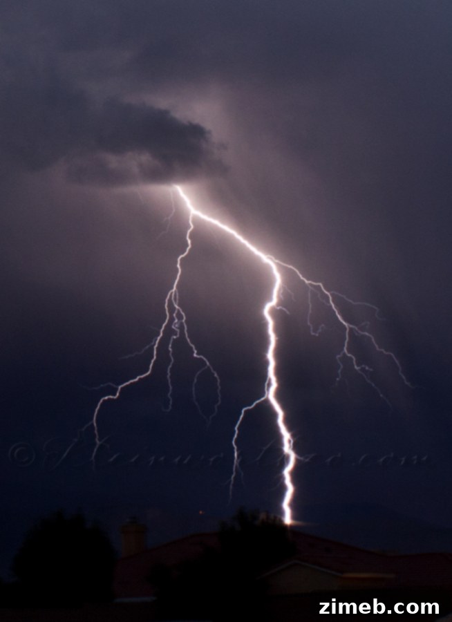 Lightning Image by Kleinworth & Co.