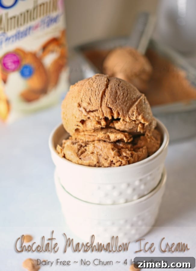 Chocolate Marshmallow Ice Cream