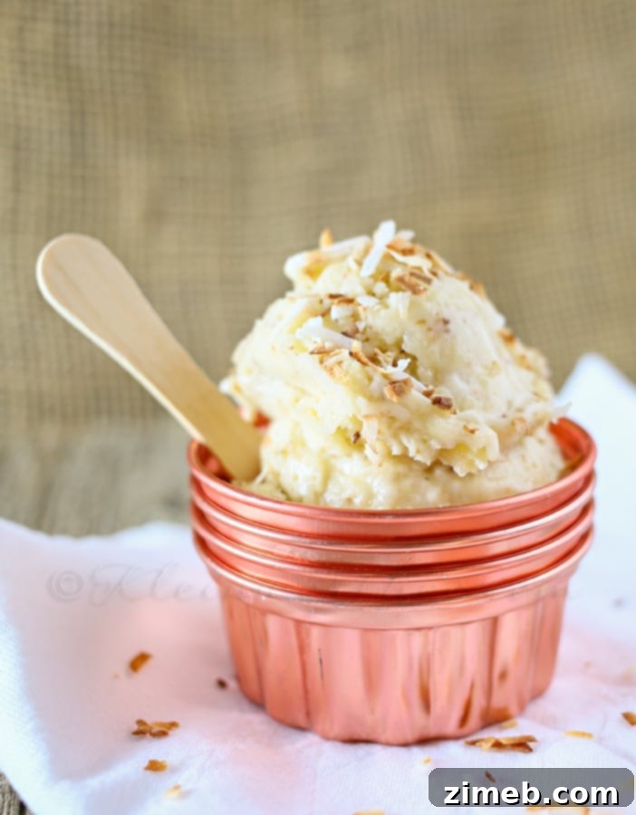 Caramel Macchiato Swirl Ice Cream 5 Toasted Coconut Banana Ice Cream recipe image