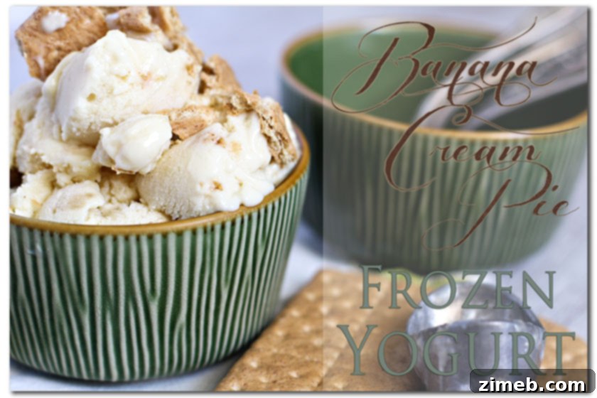 Caramel Macchiato Swirl Ice Cream 7 Banana Cream Pie Frozen Yogurt Recipe image