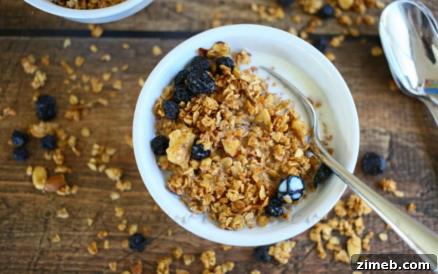 Berry Bliss Granola Crunch 2 Close-up of baked Blueberry Granola Cereal with dried blueberries and nuts.