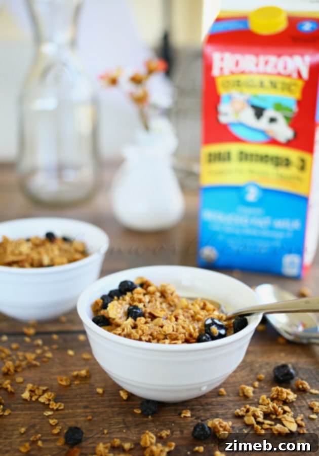 Berry Bliss Granola Crunch 3 Homemade Blueberry Granola Cereal in a rustic bowl.