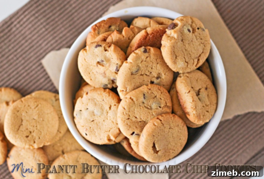 Cake Batter Kisses 9 Mini Peanut Butter Chocolate Chip Cookies, small bites of pure joy.
