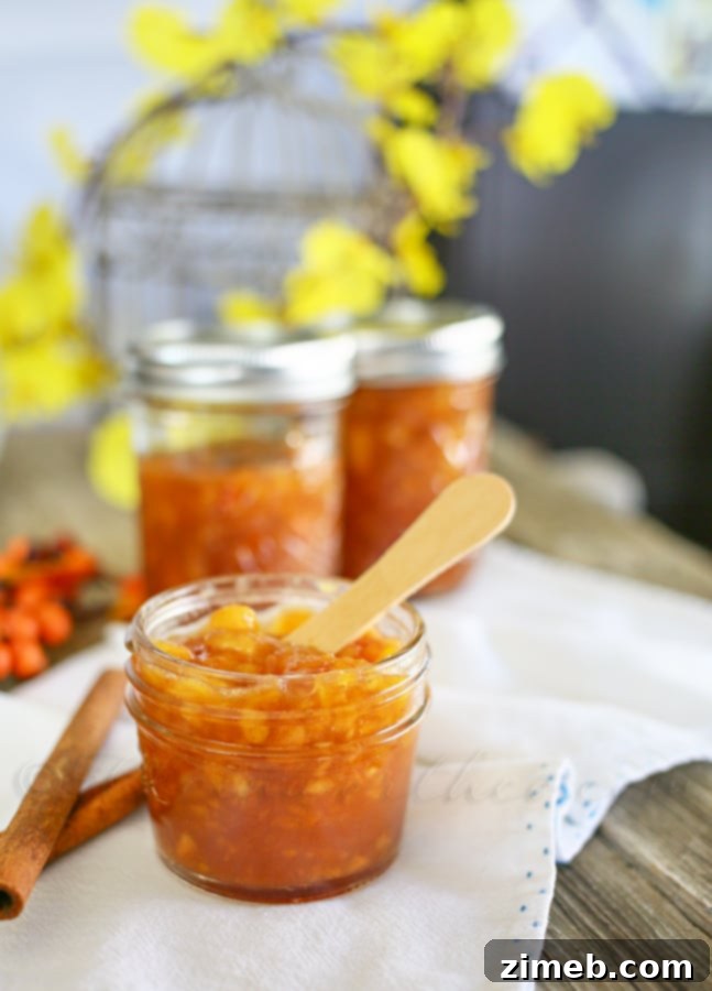 Cinnamon Peach Jam - No Sugar