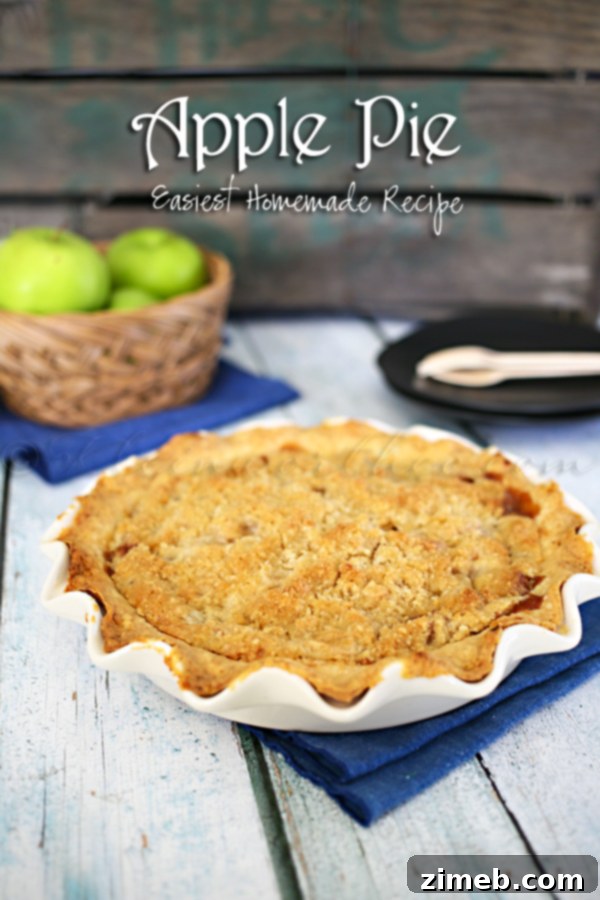 Sun-Kissed Plum Leather 6 Delicious homemade apple pie with a golden crust, an easy family recipe.