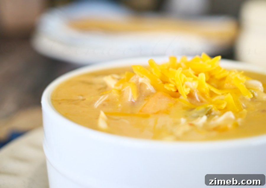 Jalapeno Cheddar Chicken Soup - in the crock pot
