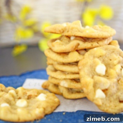 Delicious Banana Macadamia Nut Cookies