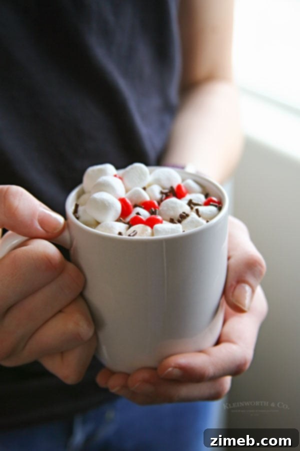 Rich Hot Cocoa Blend 10 hot chocolate recipes