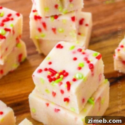 Rich Hot Cocoa Blend 14 Christmas Cookie Fudge
