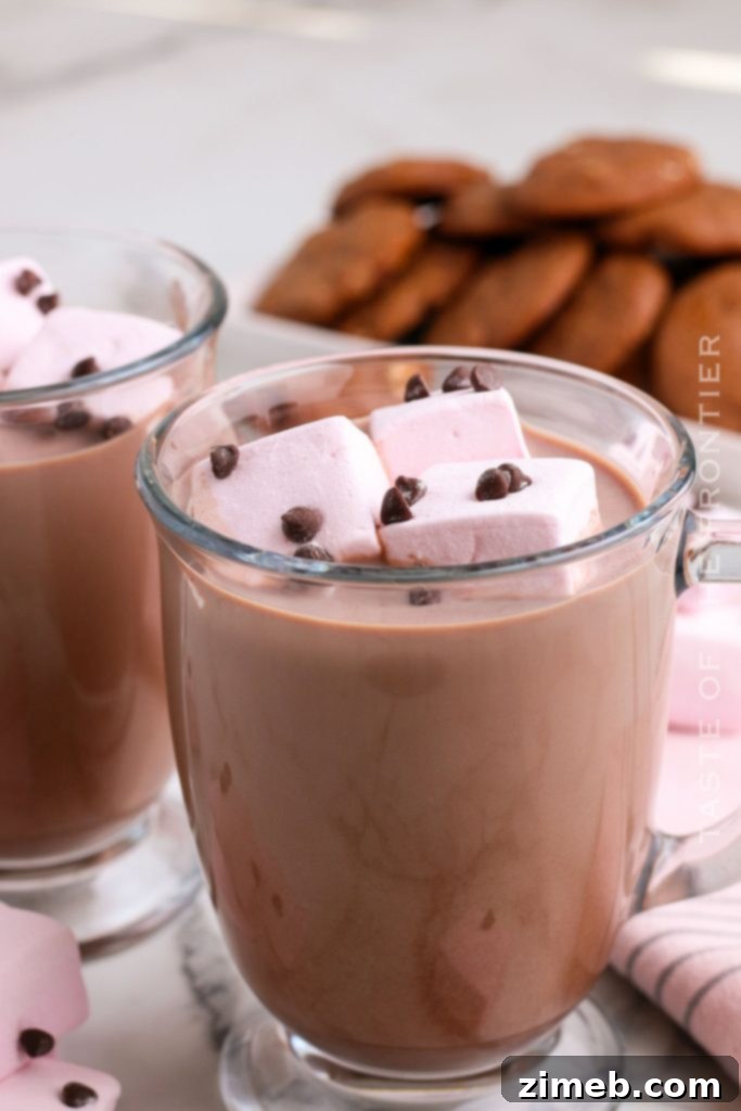 Rich Hot Cocoa Blend 3 valentine cocoa