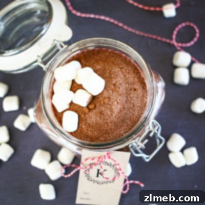 Rich Hot Cocoa Blend 20 Hot Chocolate Mix