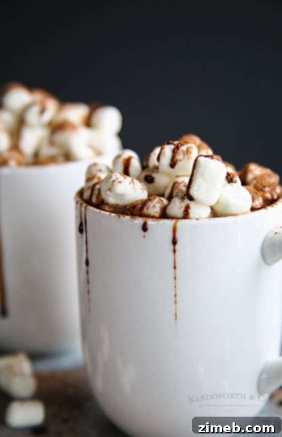 Rich Hot Cocoa Blend 4 Peanut Butter Cup Hot Chocolate