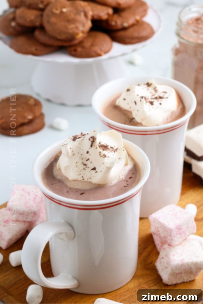 Rich Hot Cocoa Blend 6 holiday cocoa mix