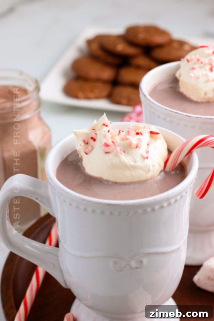 Rich Hot Cocoa Blend 8 peppermint Hot Chocolate Mix