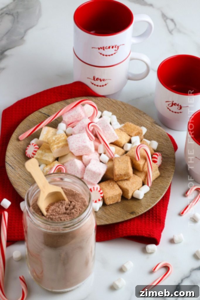 Rich Hot Cocoa Blend 9 Hot Chocolate for Santa