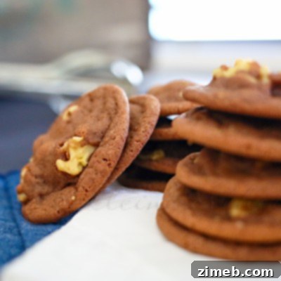 Chocolate Walnut Cookies