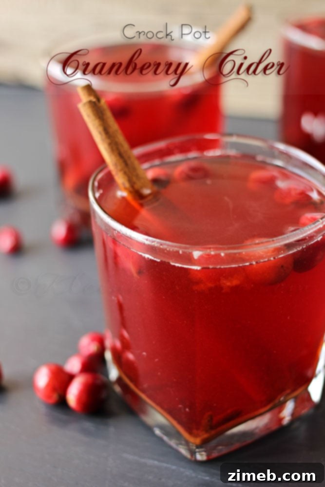 Crock Pot Cranberry Cider, a festive slow cooker drink perfect for crowds