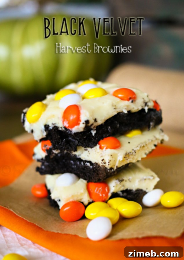 Black Velvet Harvest Brownies 6 Black Velvet Harvest Brownies