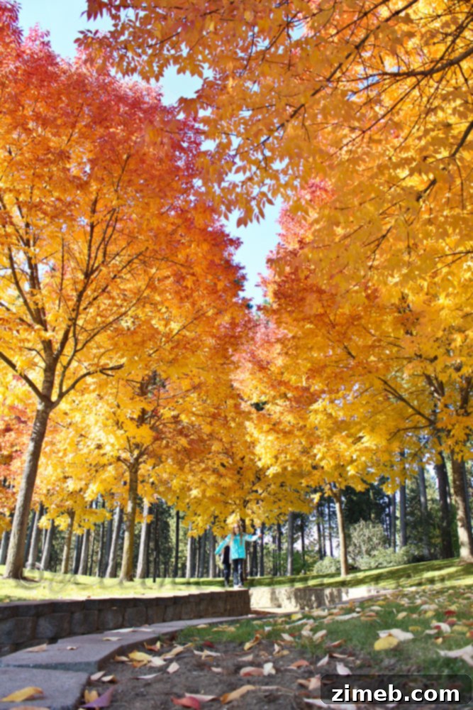 Warm Up Your Perfect Fall Family Day with Pumpkin Pie Hot Chocolate 5 Stunning fall colors in Northern Idaho, Coeur d'Alene