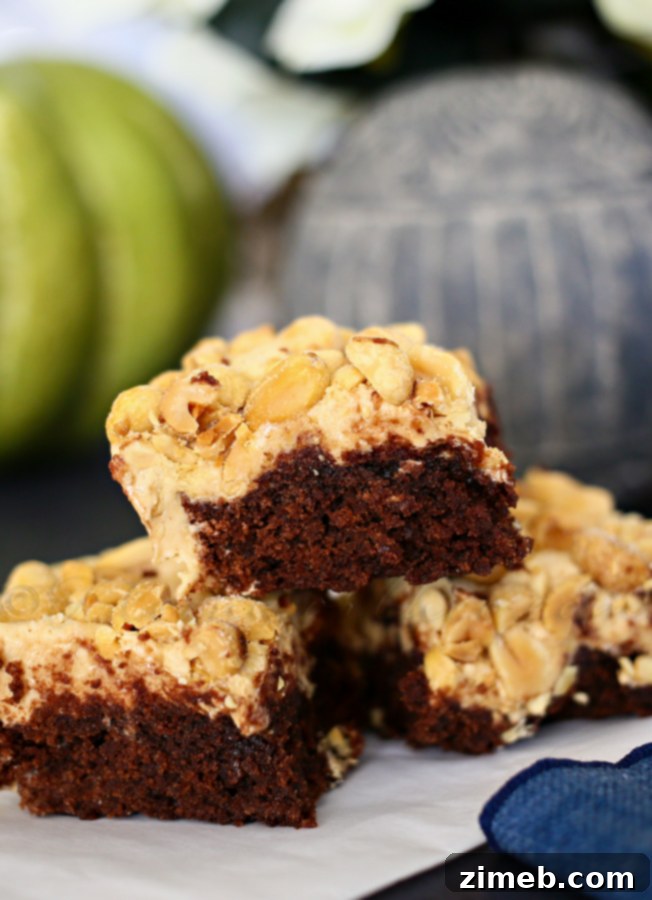 PayDay Brownies: Fudgy chocolate brownies topped with a rich peanut butter caramel and salted peanuts.