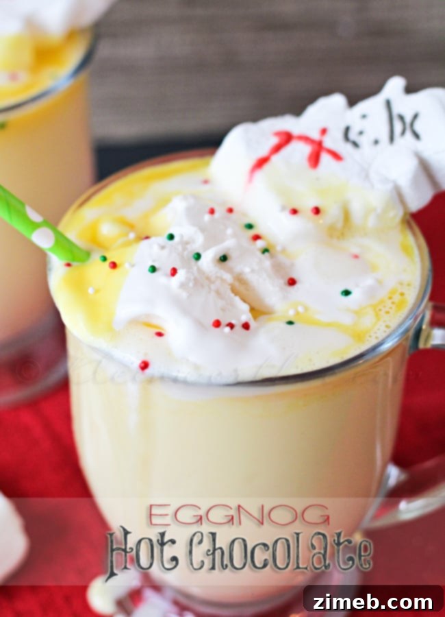 A mug of creamy Eggnog Hot Chocolate topped with whipped cream and a sprinkle of nutmeg.