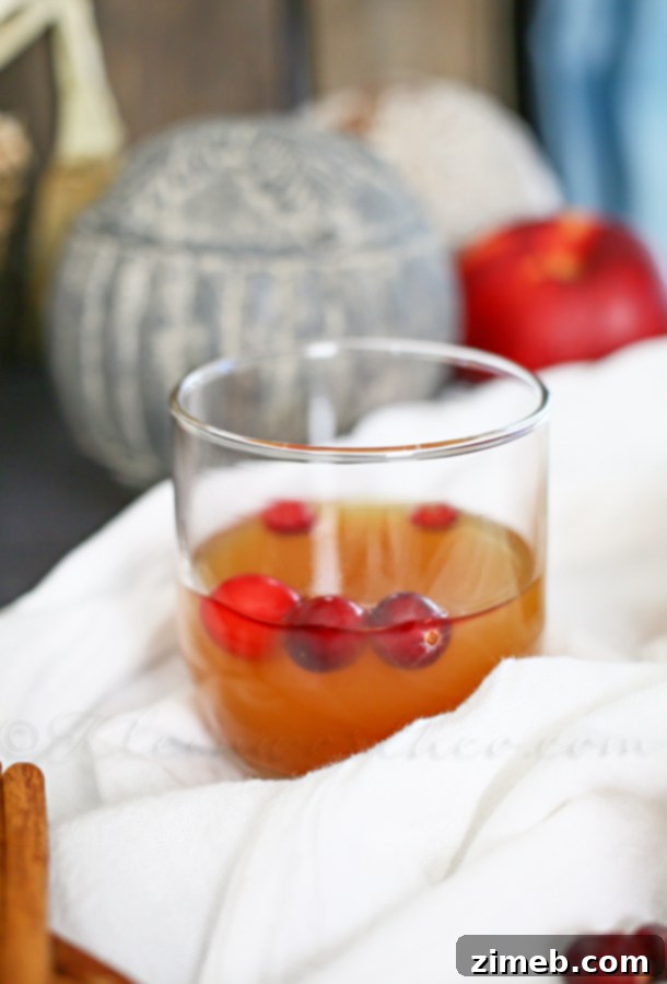 Delicious Cran-Apple Bourbon Punch served warm in a mug, garnished with cranberries and an apple slice