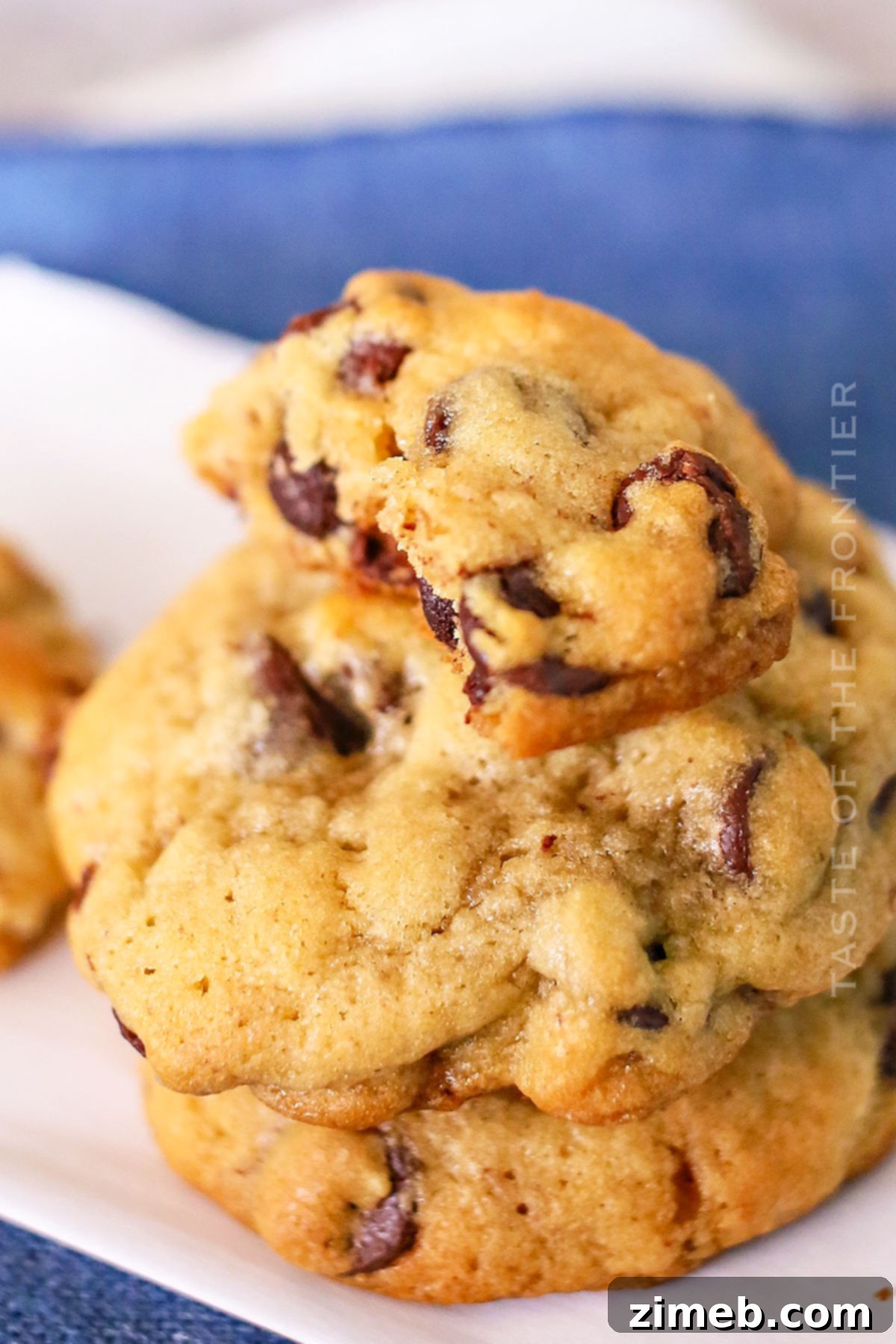 Gourmet Chocolate Chip Pecan Cookies 2 Chocolate Chip Pecan Cookies
