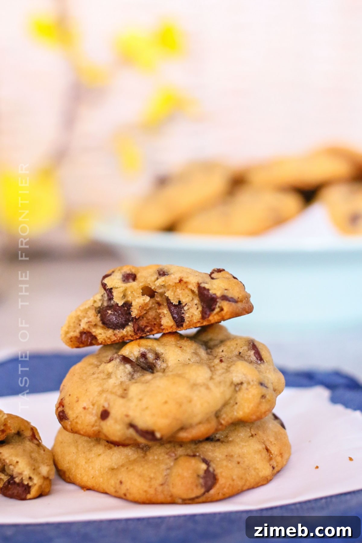 Gourmet Chocolate Chip Pecan Cookies 13 Best Chocolate Pecan Cookies