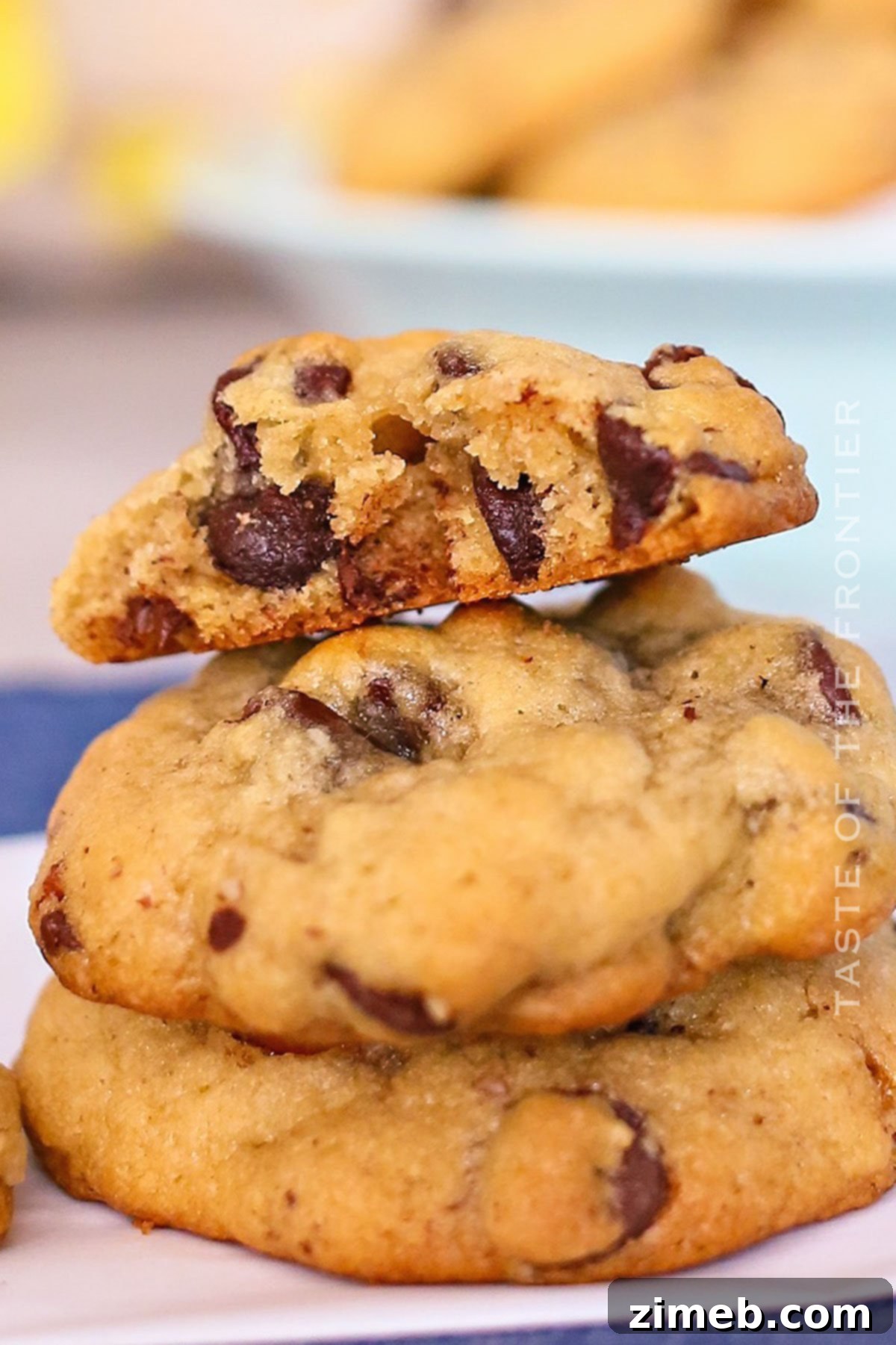Gourmet Chocolate Chip Pecan Cookies 14 Chocolate Chip Pecan Cookies Recipe
