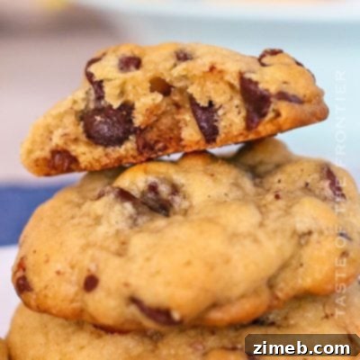 Gourmet Chocolate Chip Pecan Cookies 15 Chocolate Chip Pecan Cookies Recipe