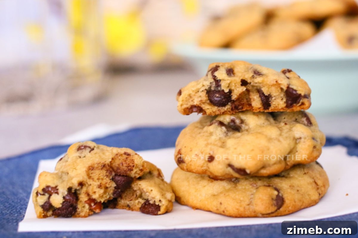 Gourmet Chocolate Chip Pecan Cookies 4 Chocolate Chip Pecan Cookie ingredients